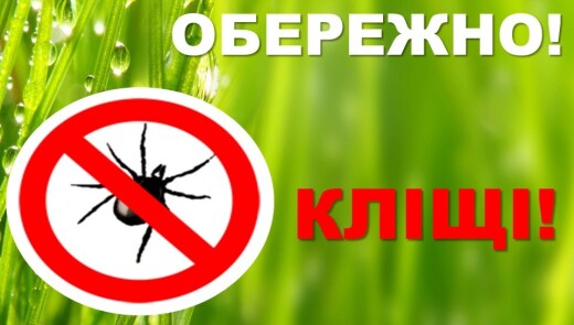 Активізація кліщів: як уберегтися від їхніх укусів