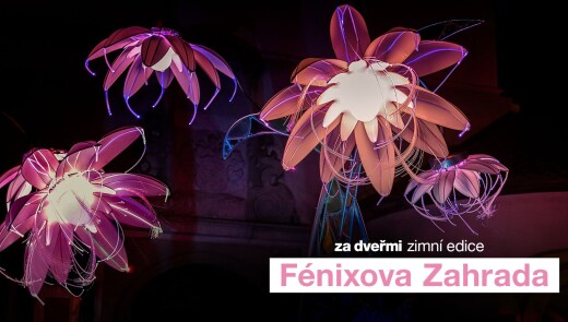 В Празі відбудеться фестиваль світлових інсталяцій та акробатики