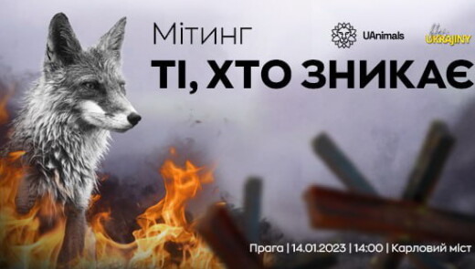В Празі готують український мітинг - на порятунок тварин